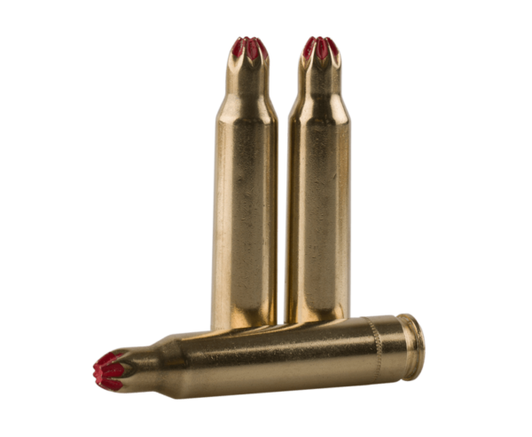 PPU Blank Brass 5.56 NATO 20-Rounds