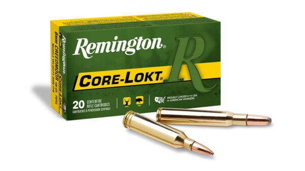 Remington Core-Lokt .450 Bushmaster 300 Grain Core-Lokt Pointed Soft Point 500 rounds